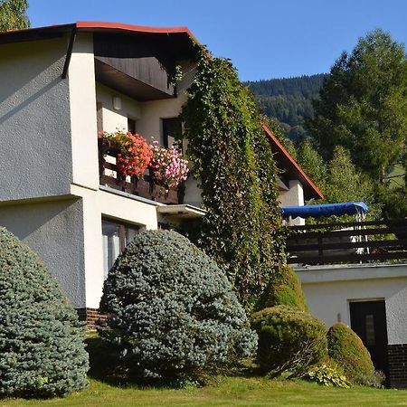 Apartman Braun Rokytnice nad Jizerou Værelse billede