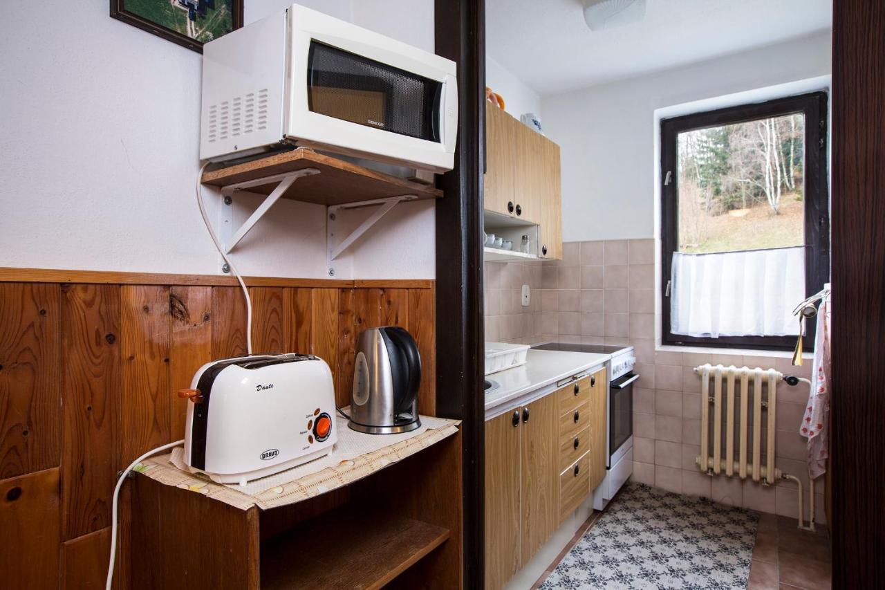 Apartman Braun Rokytnice nad Jizerou Eksteriør billede